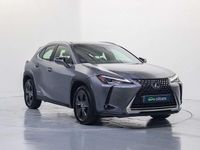 Usado Lexus UX 250h Business Edition 184 CV (135 kW) 2022 Gris SUV