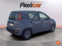 Usado Fiat Panda 71 CV (52 kW) 2022 Gris Utilitario