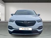 Usado Opel Grandland X Excellence 130 CV (95 kW) 2018 SUV