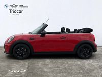 usado Mini Cooper Cabrio100 kW (136 CV)