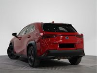 Usado Lexus UX Business Edition 184 CV (135 kW) 2022 Rojo solido SUV