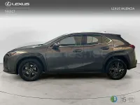 Usado Lexus UX 199 CV (146 kW) 2025 Gris / plata SUV