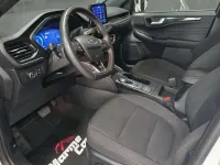 Usado Ford Kuga ST-Line 120 CV (88 kW) 2023 Blanco SUV