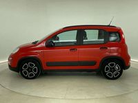 usado Fiat Panda 1.0 MHEV CITY LIFE 70CV 5P