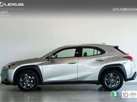 usado Lexus UX 250h BUSINESS NAVIGATION