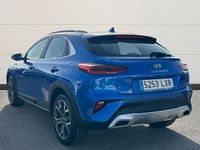 Brugt Kia XCeed 160 HK (117 kW) 2022 Grå SUV
