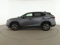 Usado Lexus NX300h E-FOUR Executive Line 197 CV (144 kW) 2016 Gris SUV