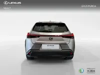 Brugt Lexus UX 250h Business Edition 184 HK (135 kW) 2022 Otro SUV