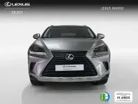Usado Lexus NX300h Business Edition 197 CV (144 kW) 2018 Gris SUV