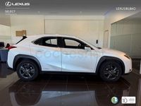 Usado Lexus UX Business Edition 184 CV (135 kW) 2022 Blanco SUV