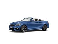 Usado BMW 218 Comfort Edition 150 CV (110 kW) 2020 Azul Descapotable