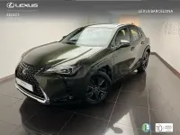 Usado Lexus UX Business Edition 184 CV (135 kW) 2022 Verde SUV