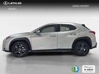 Usado Lexus UX 250h Business Edition 184 CV (135 kW) 2022 Plateado SUV