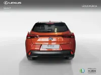 Usado Lexus UX 250h 184 CV (135 kW) 2021 Naranja SUV