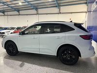 Usado Ford Kuga ST-Line X 225 CV (165 kW) 2023 Blanco SUV