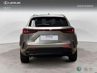 Usado Lexus NX450h+ 309 CV (227 kW) 2025 Gris SUV
