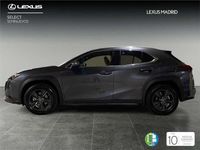 Usado Lexus UX 184 CV (135 kW) 2024 Gris SUV