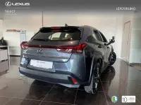 Usado Lexus UX 199 CV (146 kW) 2026 Gris / plata SUV