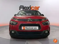 Usado Citroën C4 Cactus PureTech 110 CV (80 kW) 2018 Rojo Utilitario