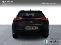 Usado Lexus UX Sport Line 199 CV (146 kW) 2025 Gris SUV