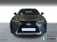 Usado Lexus UX 250h 184 CV (135 kW) 2021 Gris SUV