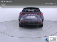 Usado Lexus NX450h+ Executive Line 292 CV (214 kW) 2025 Gris / plata SUV