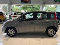 Usado Fiat Panda 71 CV (52 kW) 2022 Varios colores Utilitario