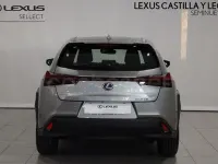 Usado Lexus UX 184 CV (135 kW) 2021 Gris / plata SUV