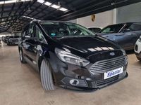 usado Ford S-MAX 2.0 TDCI 180 CV