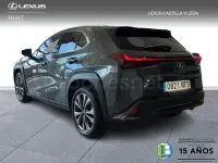 Usado Lexus UX Sport Line 199 CV (146 kW) 2025 Gris / plata SUV