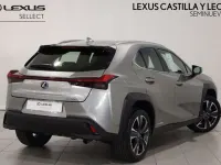 Usado Lexus UX 250h 184 CV (135 kW) 2021 Gris SUV