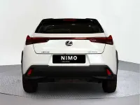 Usado Lexus UX 250h Business Edition 184 CV (135 kW) 2019 SUV