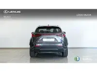 Usado Lexus NX350h Executive Line 244 CV (179 kW) 2022 Gris Familiar