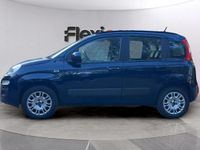 Käytetty Fiat Panda Cross Cross 69 HP (50 kW) 2020 Sininen Viistoperä