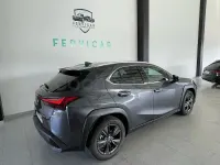Usado Lexus UX Business Edition 184 CV (135 kW) 2023 Negro SUV
