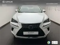 Usado Lexus NX300h Business Edition 197 CV (144 kW) 2020 Blanco SUV