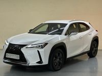 usado Lexus UX 250h Business City 135 kW (184 CV)