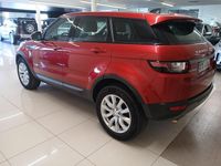 Usado Land Rover Range Rover evoque Pure 150 CV (110 kW) 2019 Suv SUV