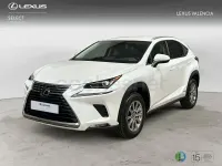 Usado Lexus NX300h Business Edition 197 CV (144 kW) 2019 Blanco SUV