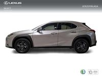 Usado Lexus UX 250h Business Edition 184 CV (135 kW) 2023 Gris SUV
