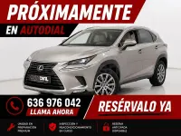 Usado Lexus NX300h Executive Line 197 CV (144 kW) 2019 Beige SUV