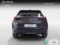 Usado Lexus UX 300h 199 CV (146 kW) 2025 Gris SUV
