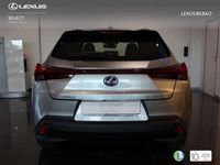 usado Lexus UX 250h Business Navigation 2WD