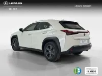 Usado Lexus UX 300h 199 CV (146 kW) 2025 Blanco SUV