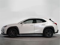 usado Lexus UX 250h Business 2wd