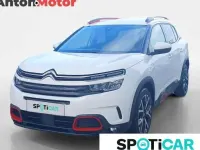 Usado Citroën C5 Aircross Feel 131 CV (96 kW) 2020 SUV