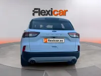 Usado Ford Kuga ST-Line X 150 CV (110 kW) 2023 Blanco SUV