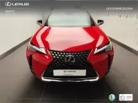 Usado Lexus UX 250h 184 CV (135 kW) 2023 Rojo SUV