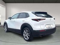 Usado Mazda CX-30 122 CV (89 kW) 2022 Blanco SUV