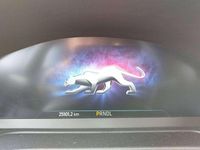 Usado Ford Puma ST-Line 155 HP (114 kW) 2024 Cinzento SUV